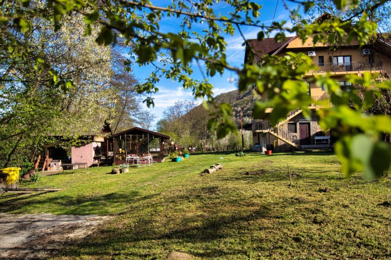 Motel Seaca Кэлимэнешти Экстерьер фото